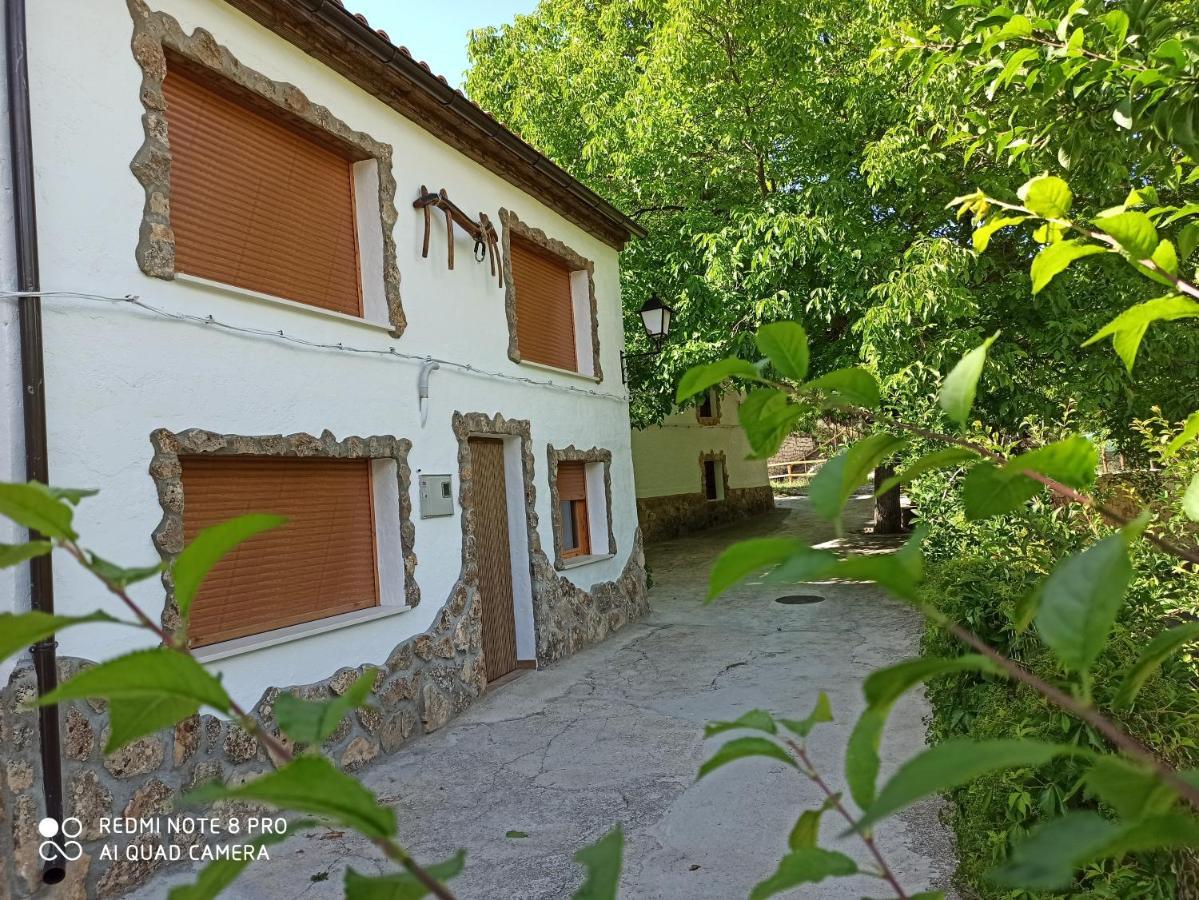 Penzion Cortijo Ramon Petra Nerpio Exteriér fotografie